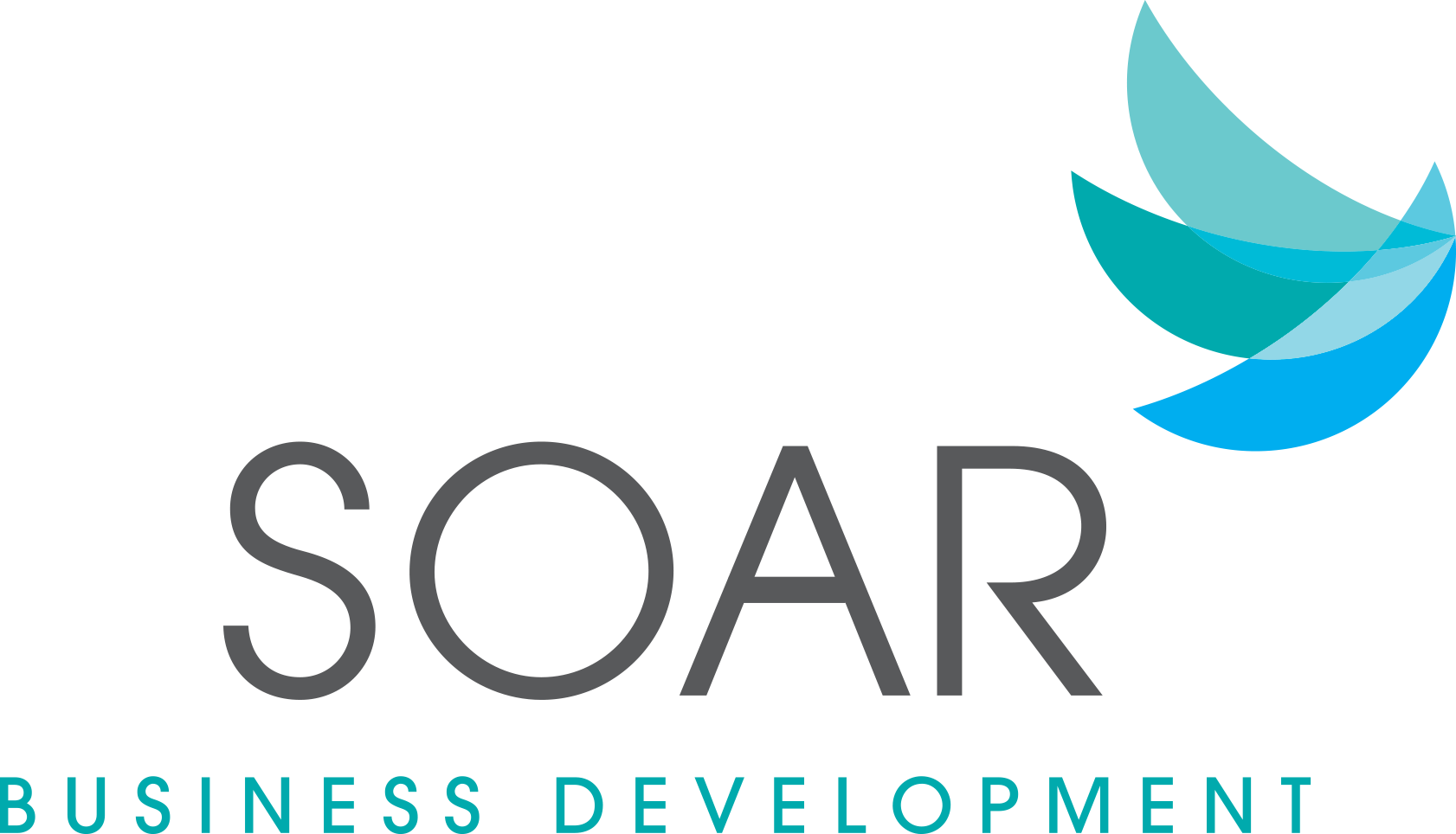 Soar Business Development